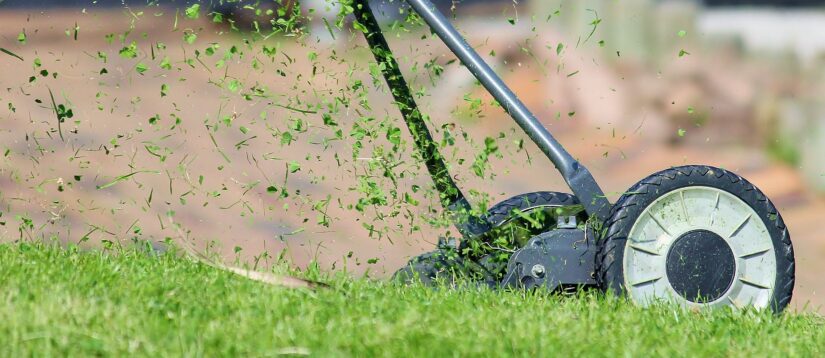 Gas Powered Lawn Care Pollution