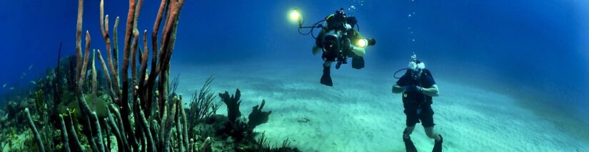 WordPress wp_update_plugins Deep Dive